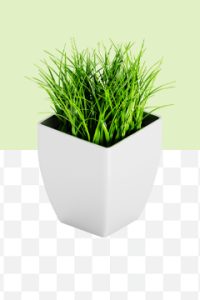 صدها تصویر دوربری دقیق